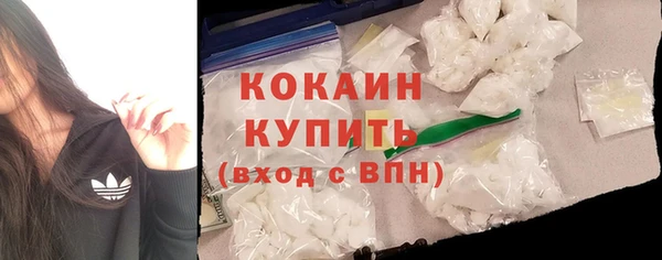 дживик Осташков