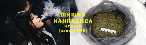 дживик Осташков