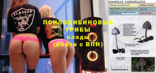 дживик Осташков